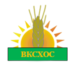 logo vko